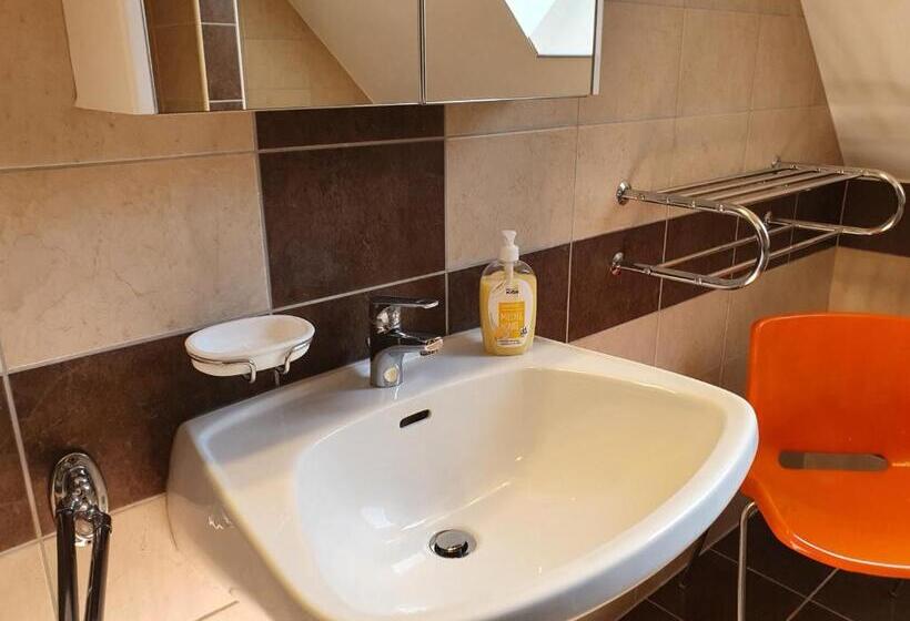 شقة غرفة واحدة مزودة بتراس, Rudolf Vendégház