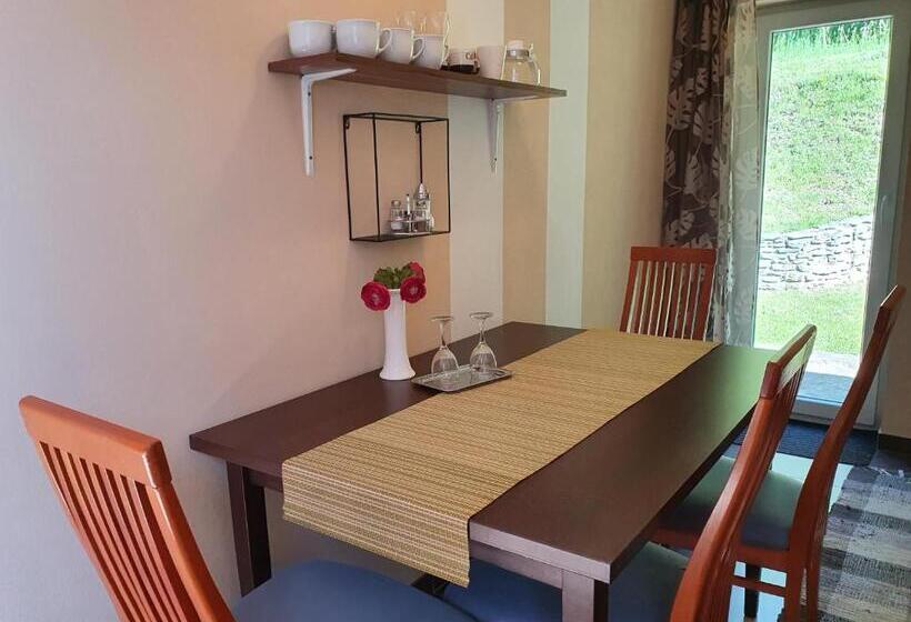 شقة غرفة واحدة مزودة بتراس, Rudolf Vendégház