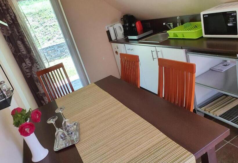 شقة غرفة واحدة مزودة بتراس, Rudolf Vendégház