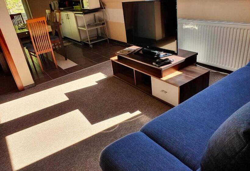 شقة غرفة واحدة مزودة بتراس, Rudolf Vendégház