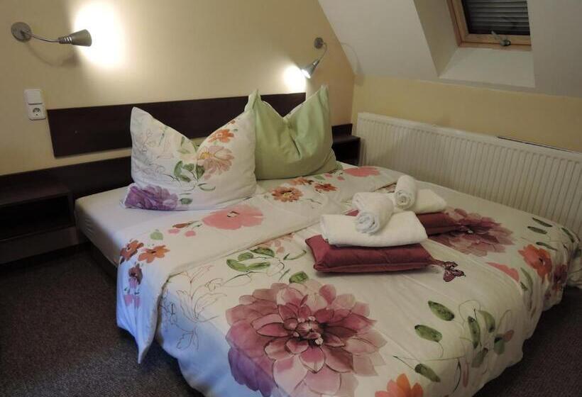 إستوديو قياسى ذو إطلالة, Rudolf Vendégház