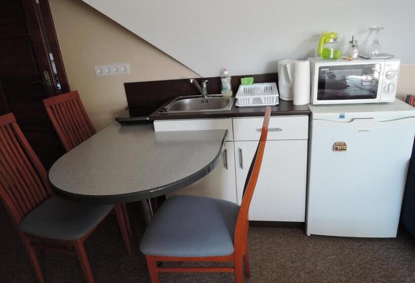 إستوديو قياسى ذو إطلالة, Rudolf Vendégház