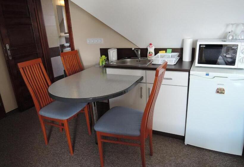 إستوديو قياسى ذو إطلالة, Rudolf Vendégház