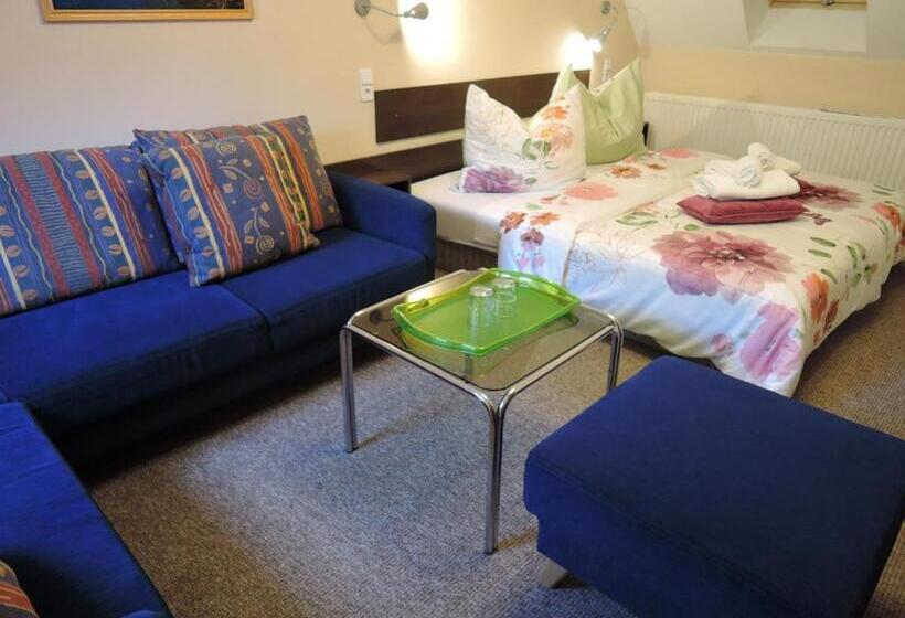 إستوديو قياسى ذو إطلالة, Rudolf Vendégház