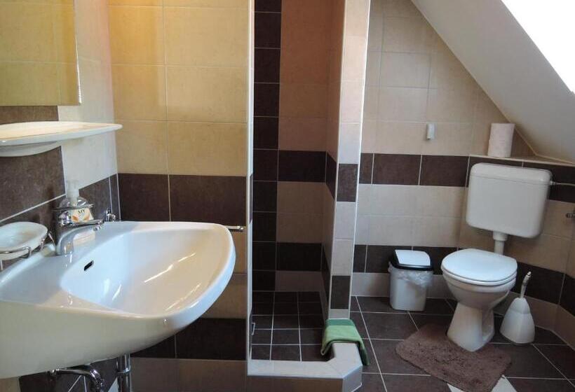 إستوديو قياسى ذو إطلالة, Rudolf Vendégház