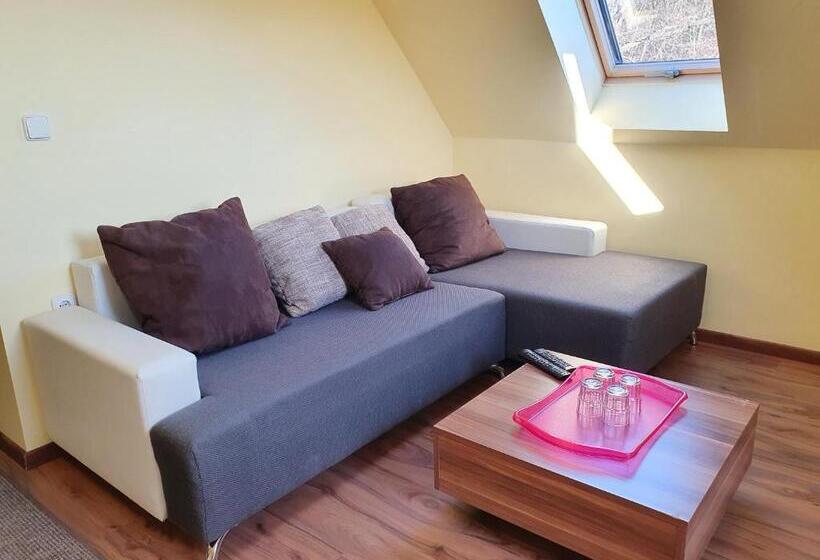 شقة بغرفة نوم واحدة, Rudolf Vendégház