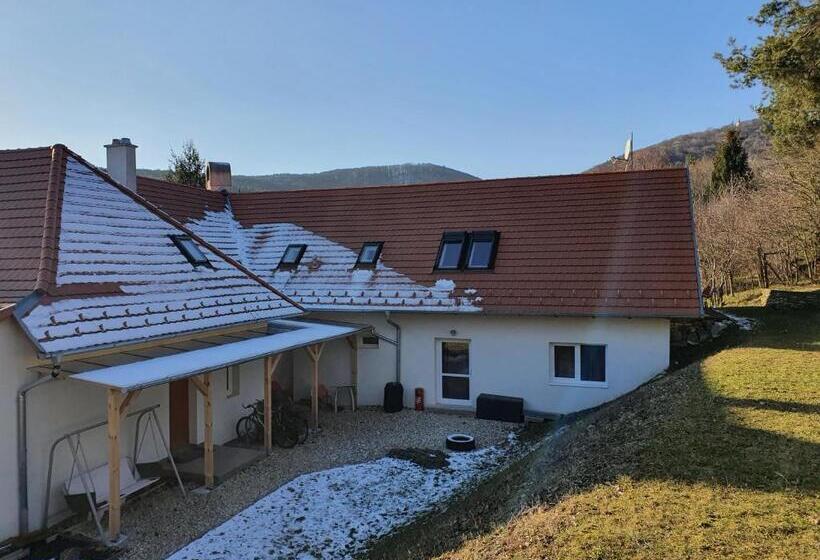 شقة بغرفة نوم واحدة, Rudolf Vendégház