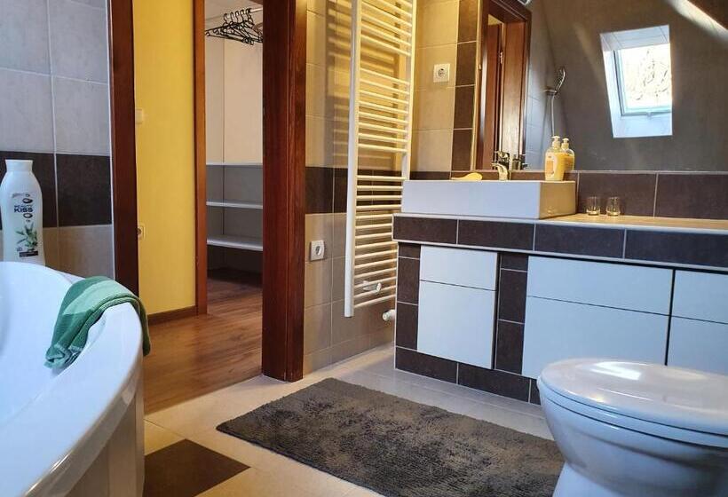 شقة بغرفة نوم واحدة, Rudolf Vendégház