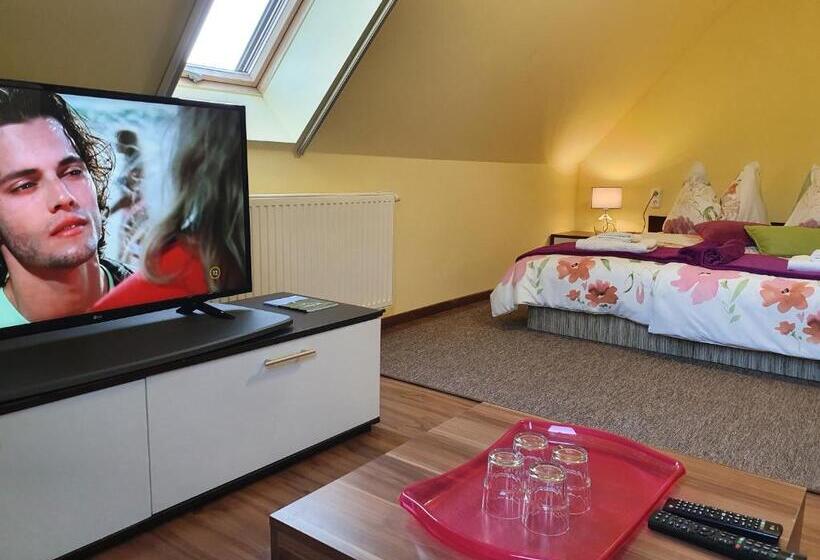 شقة بغرفة نوم واحدة, Rudolf Vendégház