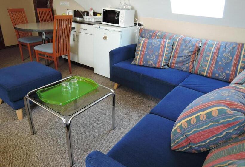 غرفة قياسية, Rudolf Vendégház