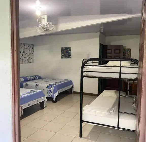 اتاق خانوادگی, Blue Morpho House B&b