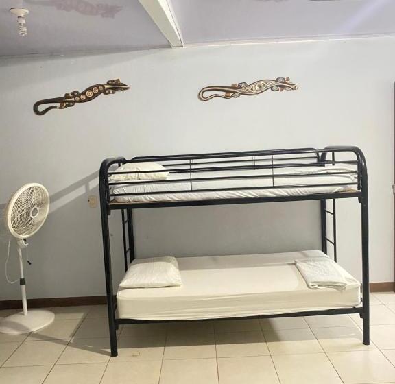 חדר משפחתי, Blue Morpho House B&b