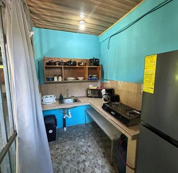 استودیوی استاندارد, Blue Morpho House B&b