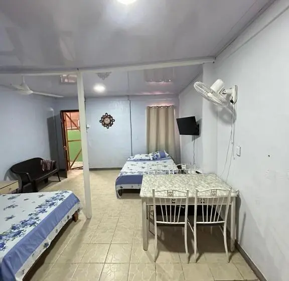 استودیوی استاندارد, Blue Morpho House B&b