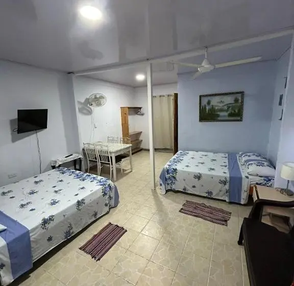 استودیوی استاندارد, Blue Morpho House B&b