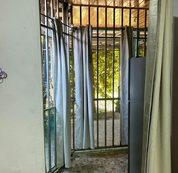 Студия Стандарт, Blue Morpho House B&b