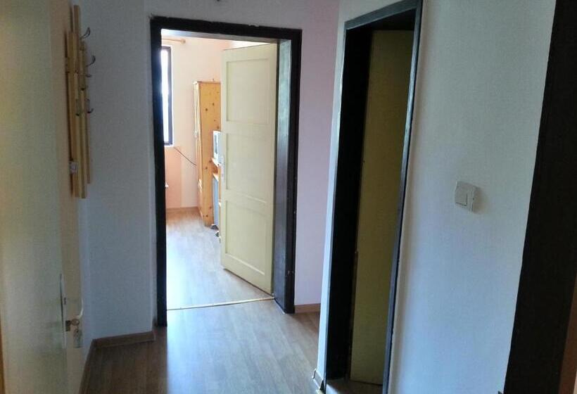 شقة غرفة واحدة, Guest House Zora