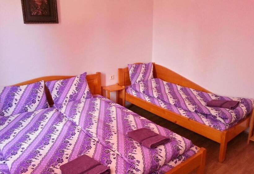 Апартаменты 1 Спальня, Guest House Zora