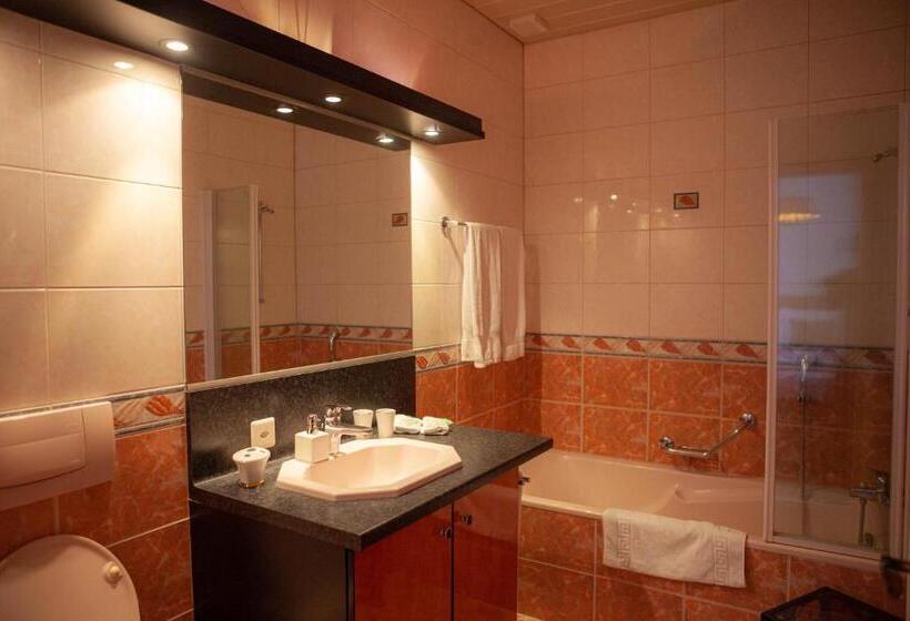 חדר סטנדרט, Hôtel De L Ours