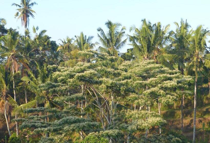 高级大房间, Bersila La Maison Du Bonheur