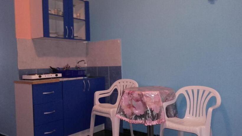 آپارتمان 1 خوابه با بالکن, Guest House Dragomir