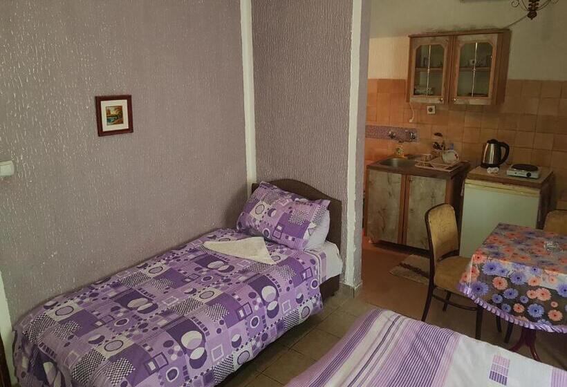 اتاق ساده سه نفره, Guest House Dragomir