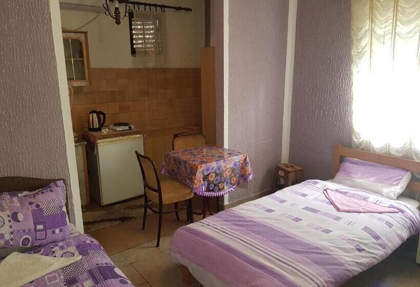 اتاق ساده سه نفره, Guest House Dragomir