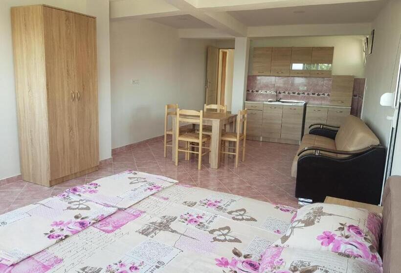 آپارتمان 1 خوابه با چشمانداز دریا, Guest House Dragomir