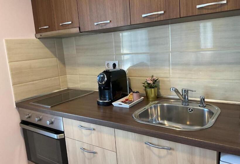 带1个卧室的公寓, Guest Rooms Tsarevets