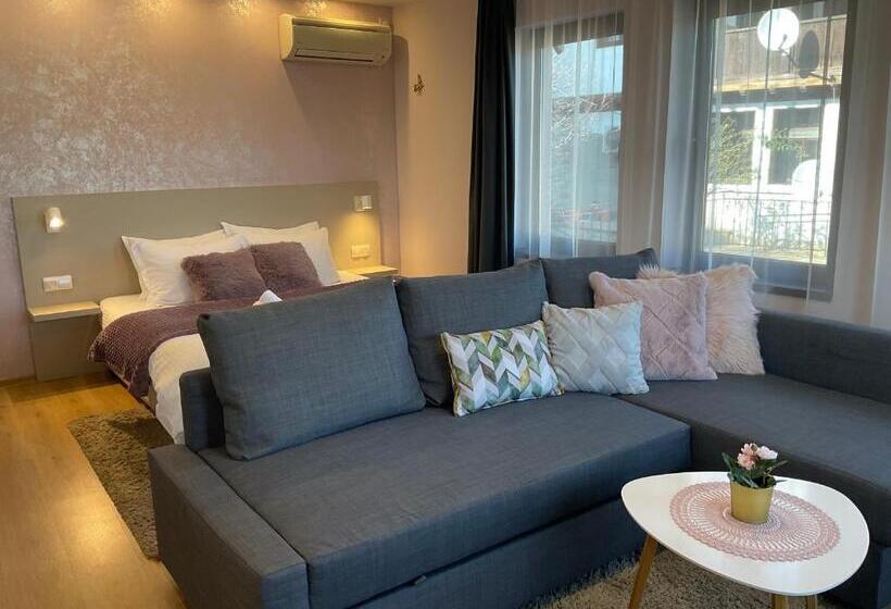 带1个卧室的公寓, Guest Rooms Tsarevets
