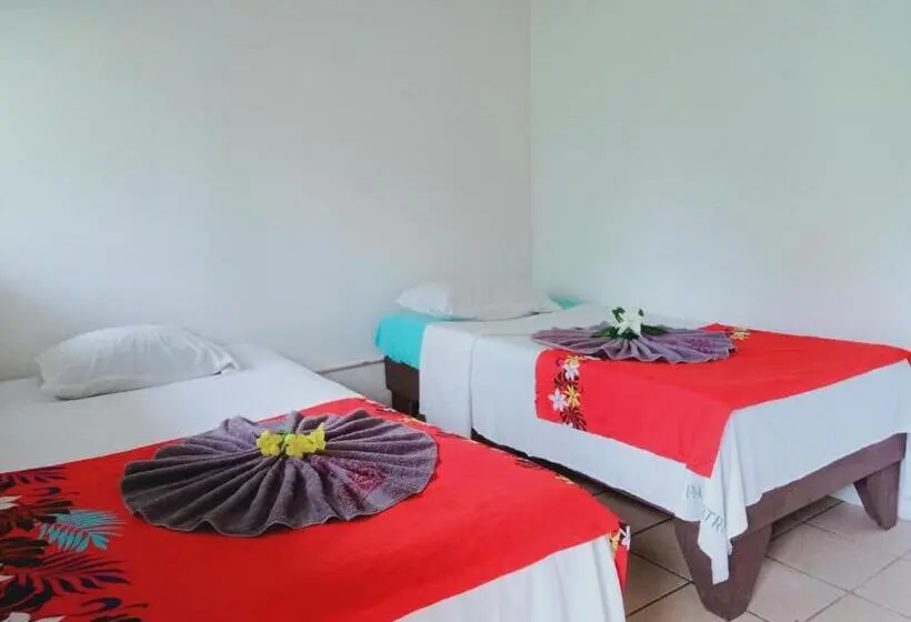 اتاق استاندارد با چشمانداز باغ, Olivias Accommodation
