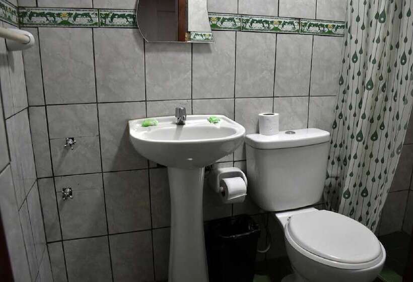 スタンダードルーム, Internacional De Arequipa