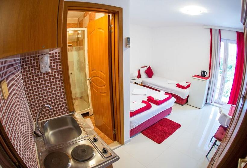 استودیوی استاندارد, Guest House Vucicevic