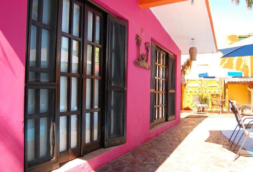 标准平房, Leo's Baja Oasis