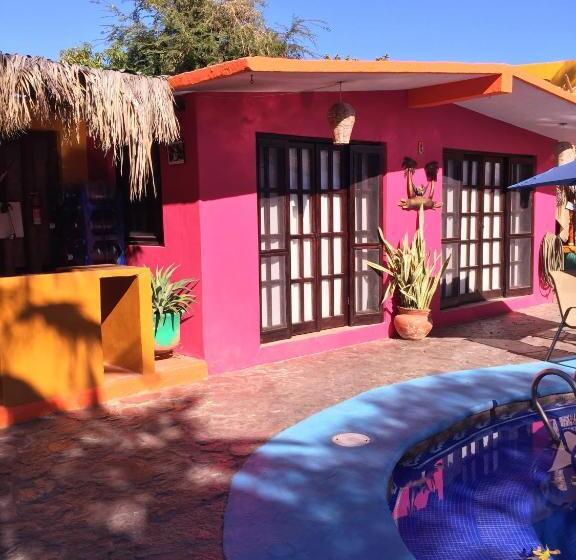 Bangalô Standard, Leo's Baja Oasis