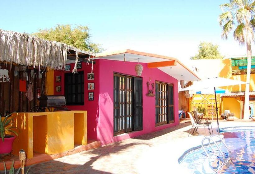 Bangalô Standard, Leo's Baja Oasis