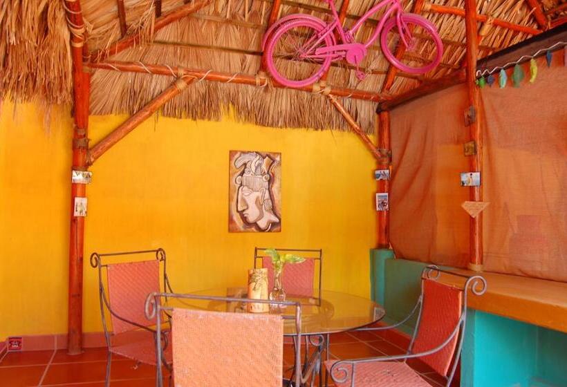 スタンダードバンガロー, Leo's Baja Oasis