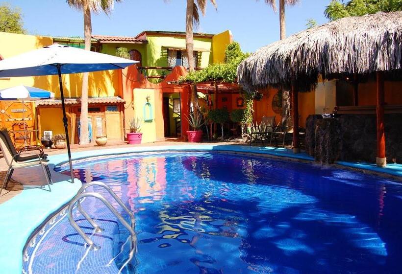 标准平房, Leo's Baja Oasis