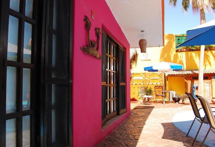 标准平房, Leo's Baja Oasis