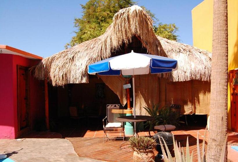 スタンダードバンガロー, Leo's Baja Oasis
