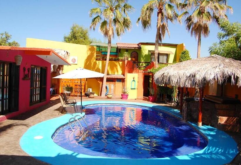 １ベッドルームハウス, Leo's Baja Oasis
