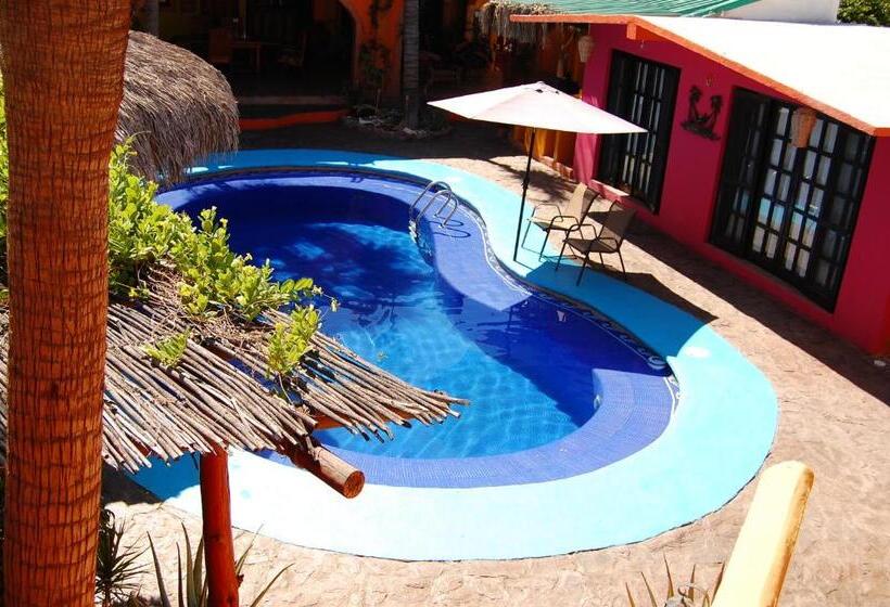 1间卧室的房子, Leo's Baja Oasis