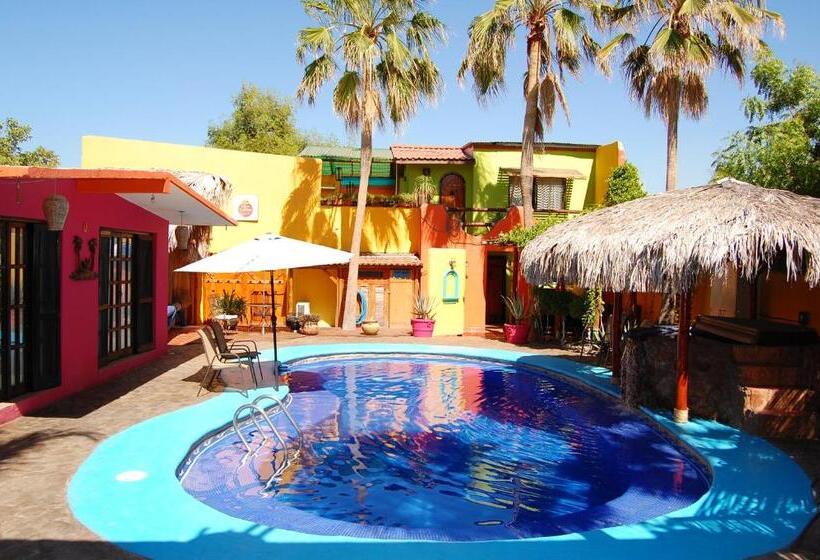 １ベッドルームハウス, Leo's Baja Oasis