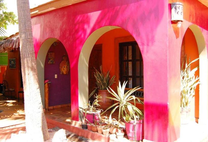 3间卧室的房子, Leo's Baja Oasis