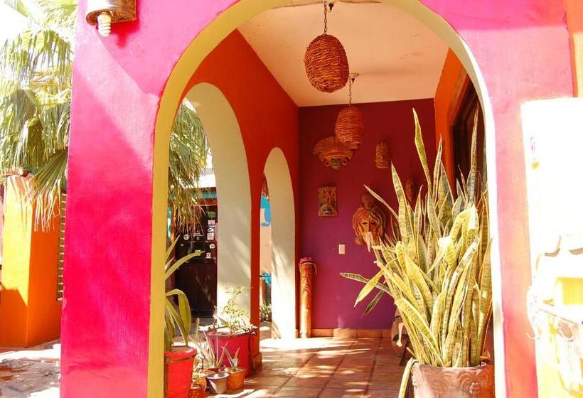 3间卧室的房子, Leo's Baja Oasis