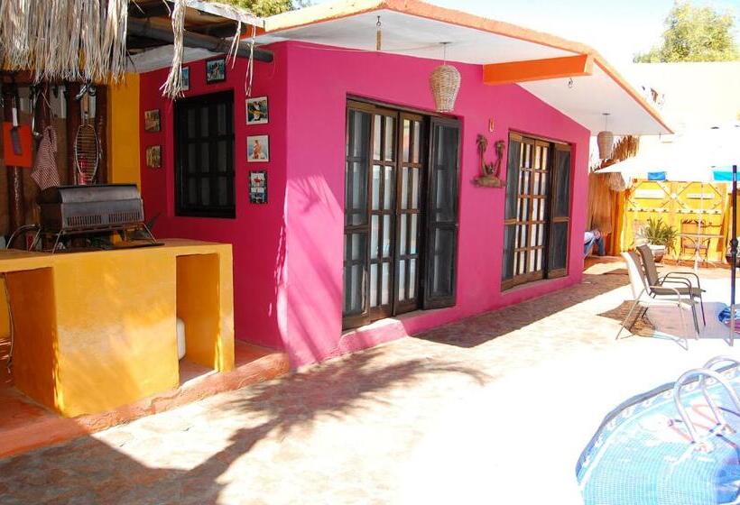 标准平房, Leo's Baja Oasis