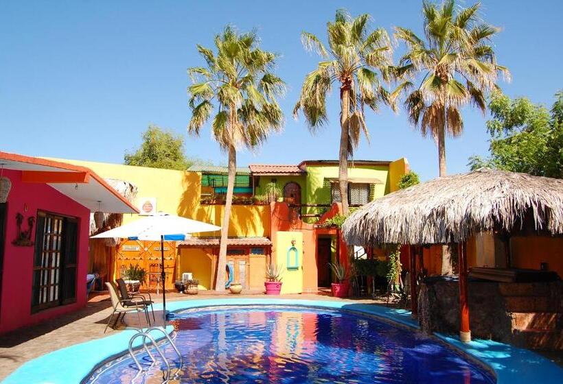 1间卧室的房子, Leo's Baja Oasis