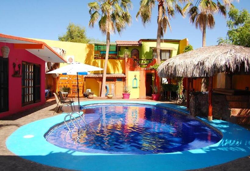 1间卧室的房子, Leo's Baja Oasis