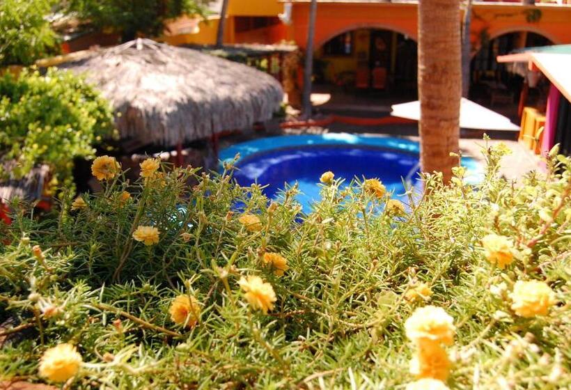Casa 1 Quarto, Leo's Baja Oasis