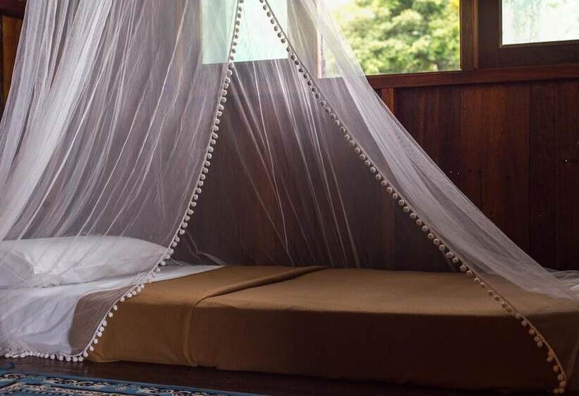 Pokój Standard, Wild Pasir Panjang